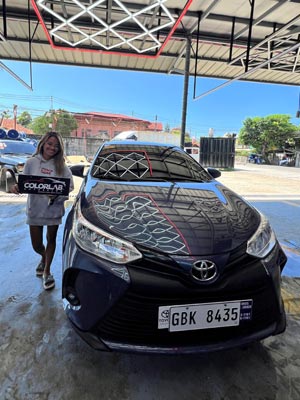 colorlab-membership-program-free-car-wash-03